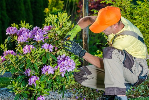 Trained gardening team operating mowers with PPE in Hoxton