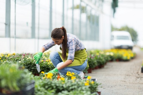 Professional garden clearance service in Hoxton