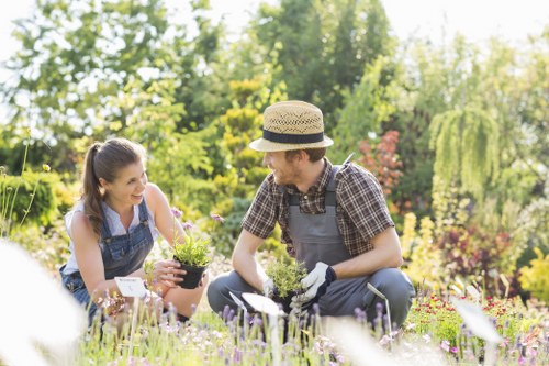 Eco-friendly garden clearance practices
